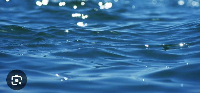 <p>what percent of your body is water </p>