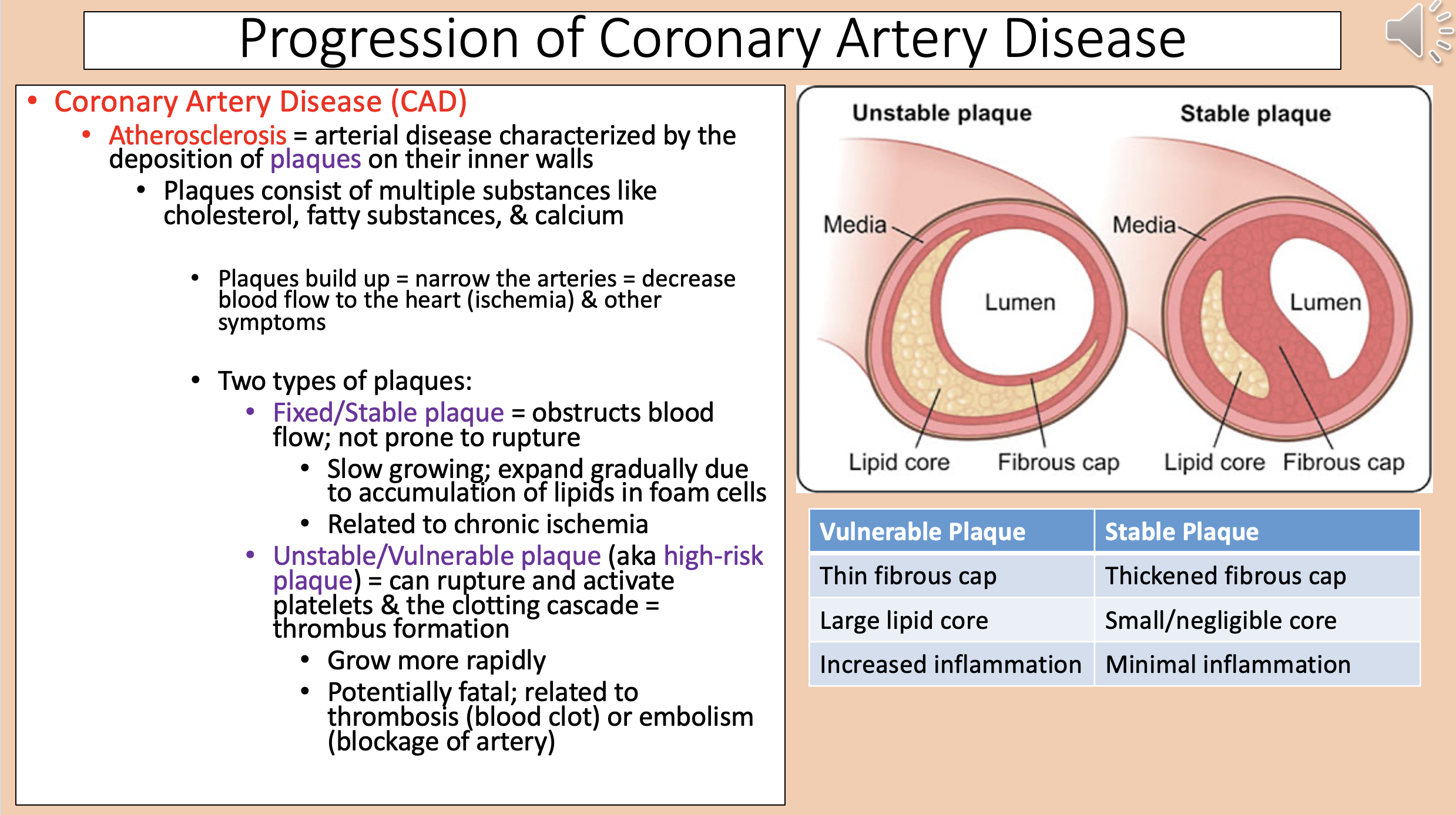 <p><span style="color: rgb(255, 0, 0);">atherosclerosis</span></p>