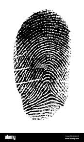 <p>What type of fingerprint is this: </p>
