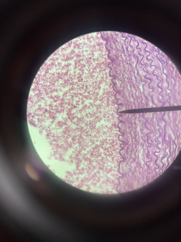 <p>structure name + layer name</p>