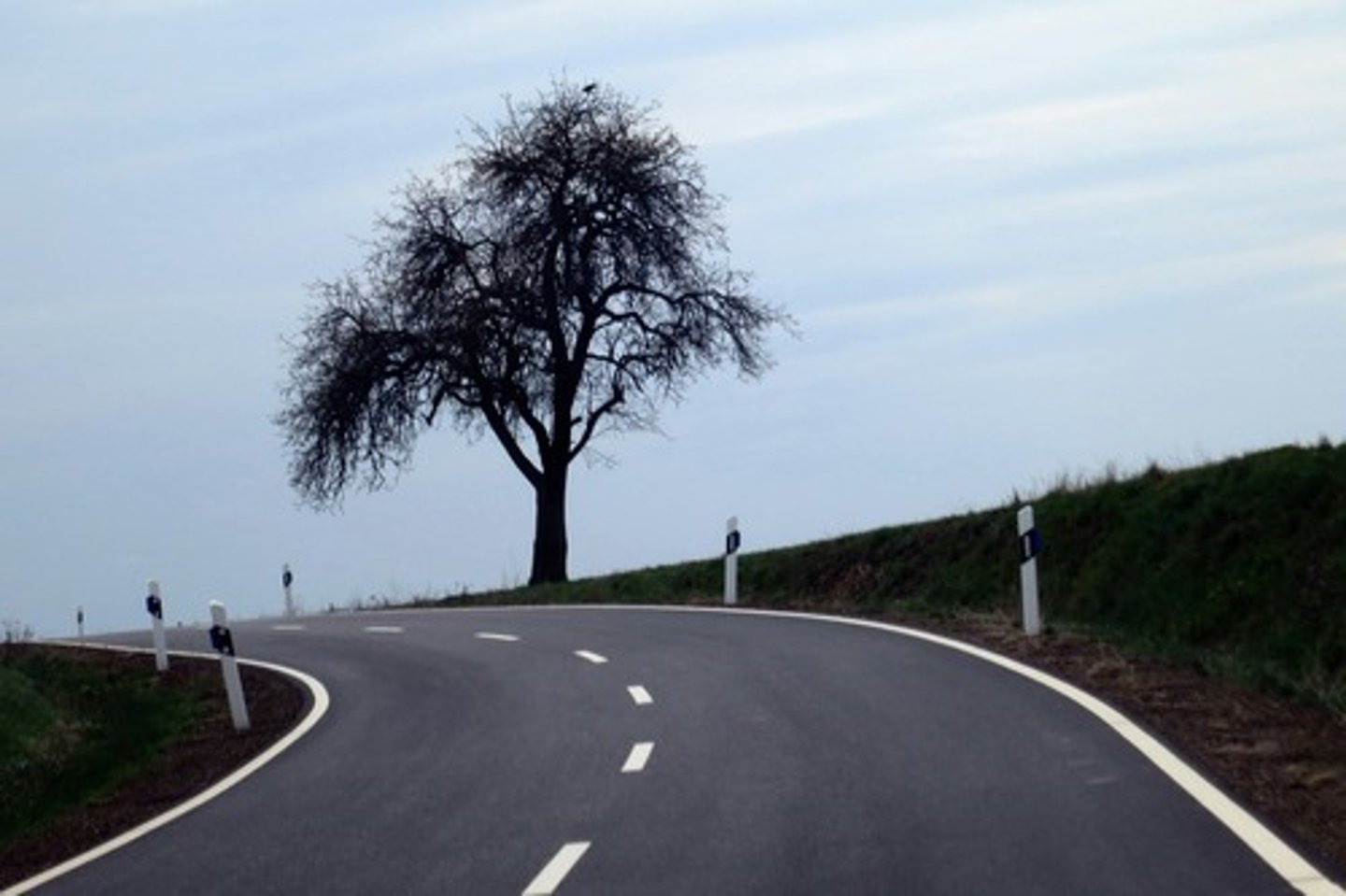 <p>street</p>