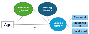 <p>large individual differences studies found that WM capacity accounts for age-related variability in cognition over + above processing speed</p><ul><li><p>though processing speed contributes to WM, the effect of age on episodic memory (+ its abilities e.g. free/cued recall + recognition) decreases when controlling for both PS + WM, indicating that both distinctly constrain EM</p></li><li><p>shows age itself doesn’t particularly constrain EM, but the cognitive abilities that underpins it do</p></li></ul><p></p>