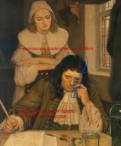 <p>Anton Van Leeuwenhoek, 1675</p><p>Dutch Microscopist</p>