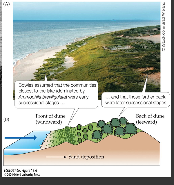 <p>Henry Cowles (1899)</p>