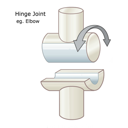 <p>hinge joint </p>