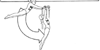 <p>What motion does this show?</p>