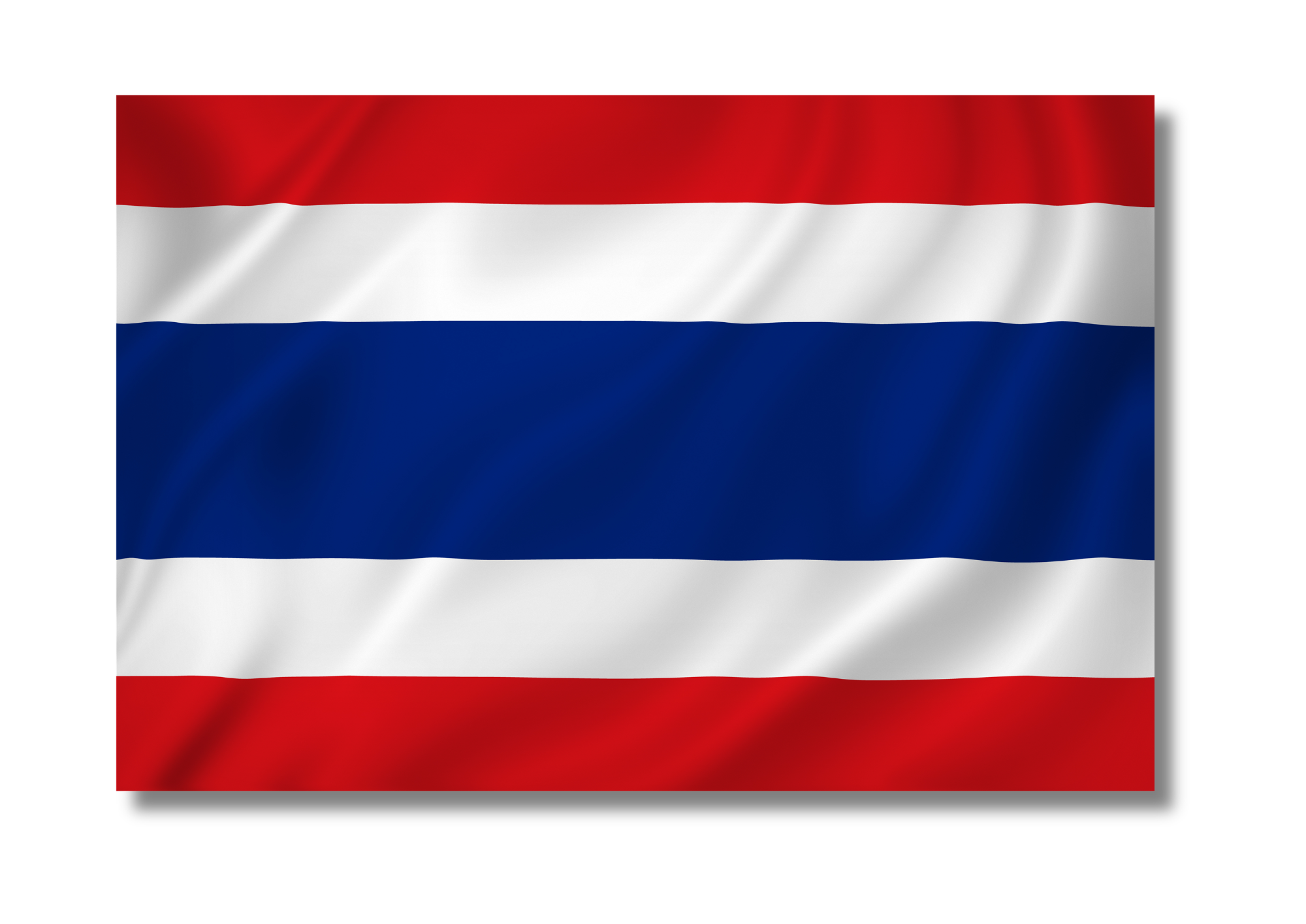 <p></p>