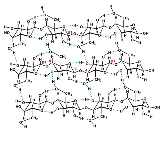 <p>What is this structure?</p>