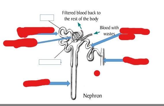 <p>name the parts</p>
