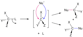 <p>steps in nucleophilic substitution which determines the rate of reaction and only involves the organic reactant </p>