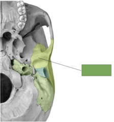 <p>This is the</p>