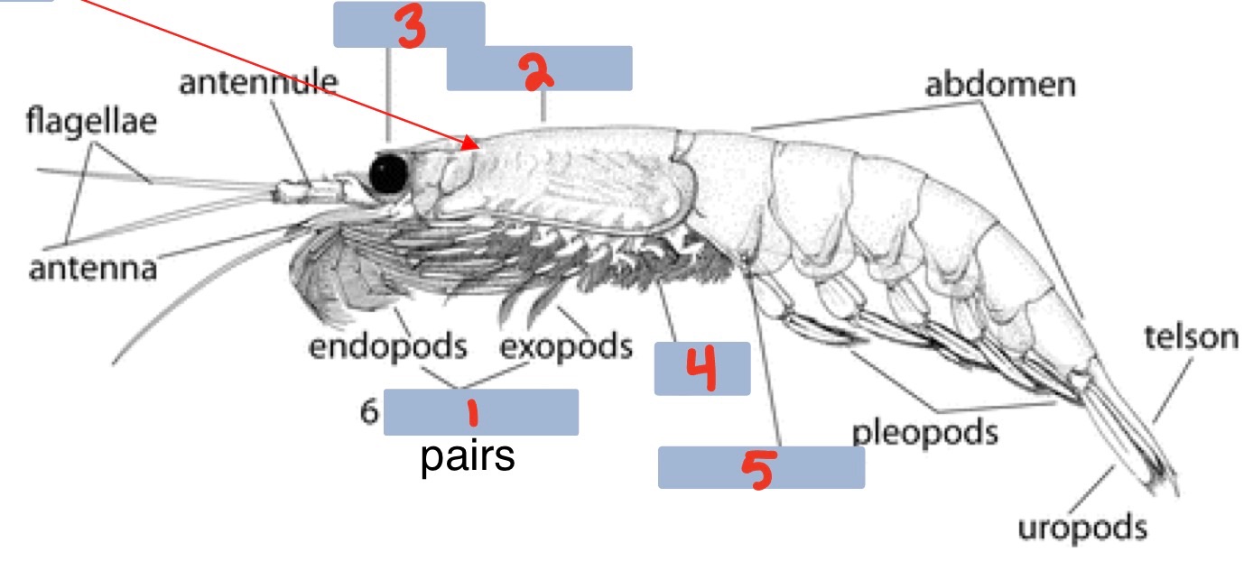 <p>2?</p>