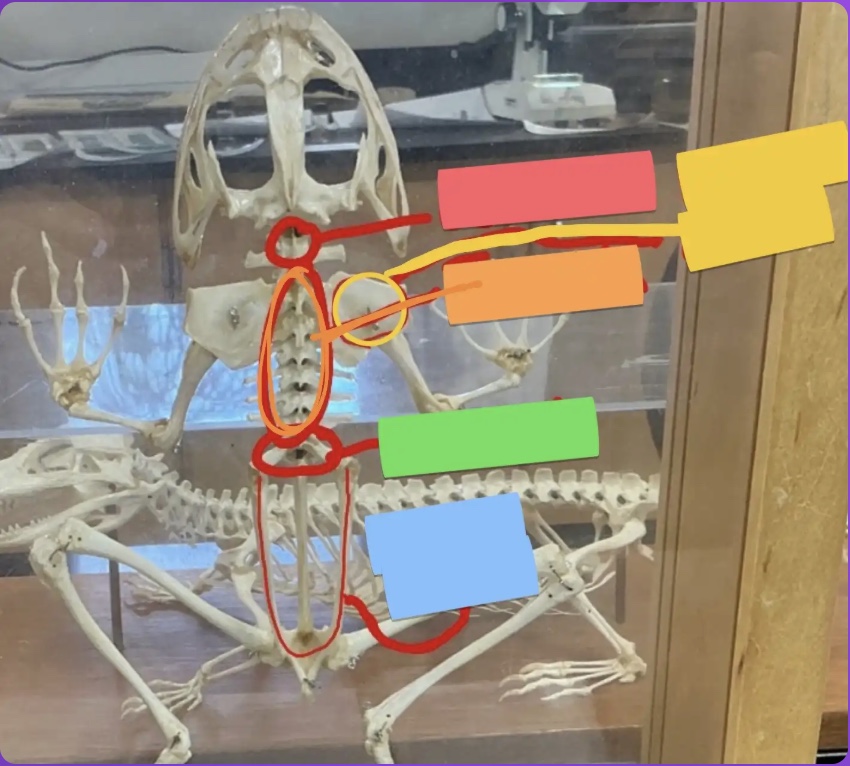 <p>What does the red box represent?</p>