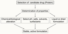 <p>involves the characterization of a drug's physical, chemical, and mechanical properties in order to choose what other ingredients (excipients) should be used in the preparation</p><p>ex: vaccine formulation-> under what temp will it survive? what ingredients will curb stress?</p>
