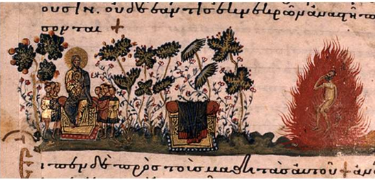term image