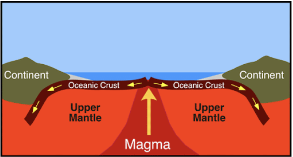 <p>Oceanic Crust</p>