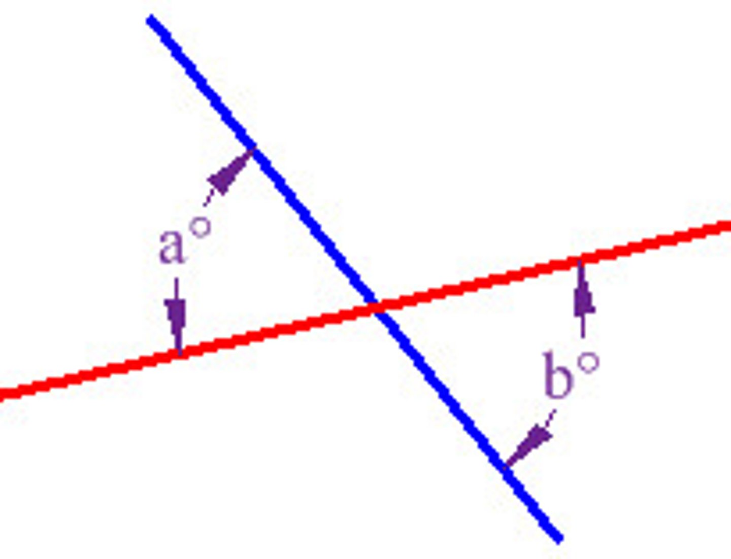 <p>a pair of opposite congruent angles formed by two intersecting lines</p>