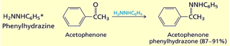 <p>Hydrazones are formed.</p>