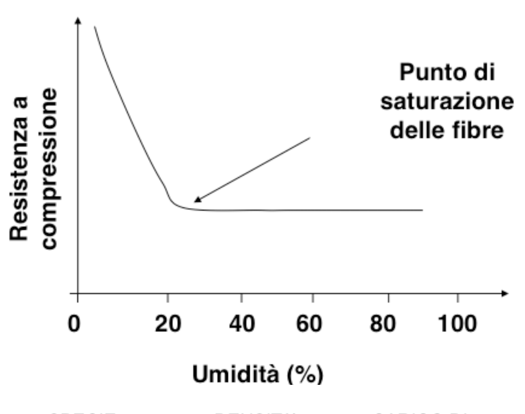 <p>Il punto di saturazione delle fibre corrisponde all'umidità percentuale del legno per la quale</p><p><span style="font-family: Wingdings; line-height: normal; font-size: 14.4px;"> </span>tutti i condotti cellulari (lumi) sono vuoti</p><p><span style="font-family: Wingdings; line-height: normal; font-size: 14.4px;"> </span>le pareti cellulari sono sature d'acqua</p>