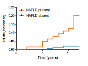 <ul><li><p><strong>NAFLD</strong> staat voor <em>non-alcoholic fatty liver disease</em> en betekent <strong>niet-alcoholische leververvetting</strong>.</p></li><li><p>De presentatie vergelijkt mensen met en zonder NAFLD.</p></li><li><p>De horizontale as van de grafiek geeft de tijd in jaren weer.</p></li><li><p>De verticale as geeft de incidentie van diabetes type 2 weer.</p></li><li><p>De grafiek laat volgens de presentatie zien dat <strong>leververvetting samenhangt met het risico op het ontwikkelen van diabetes type 2</strong>.</p></li><li><p>Dit sluit aan bij het mechanisme van fat overflow, waarbij vetophoping in organen onderdeel kan zijn van de pathofysiologie van diabetes type 2.</p></li></ul><p></p>