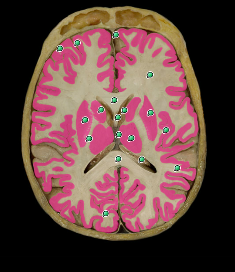 <p>what is this?</p>