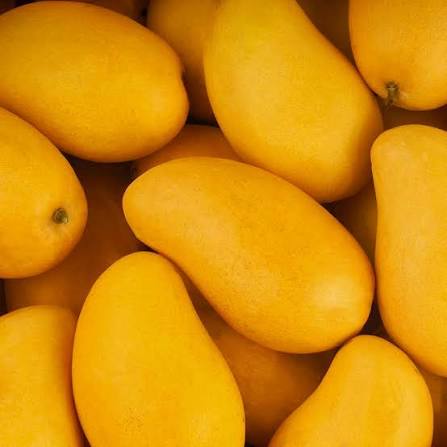 <p>mango atauflo (ah-tah-oof-lo) 1ct</p>