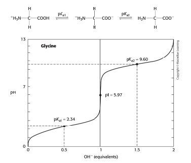 <p>What is pKa?</p><p>How can you determine pKa on a titration curve? (3 steps)</p><p>Why are there flat regions on a titration curve?</p>