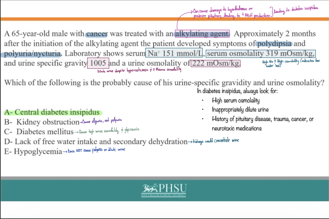 <p>A - Central diabetes insipidus</p><p></p>