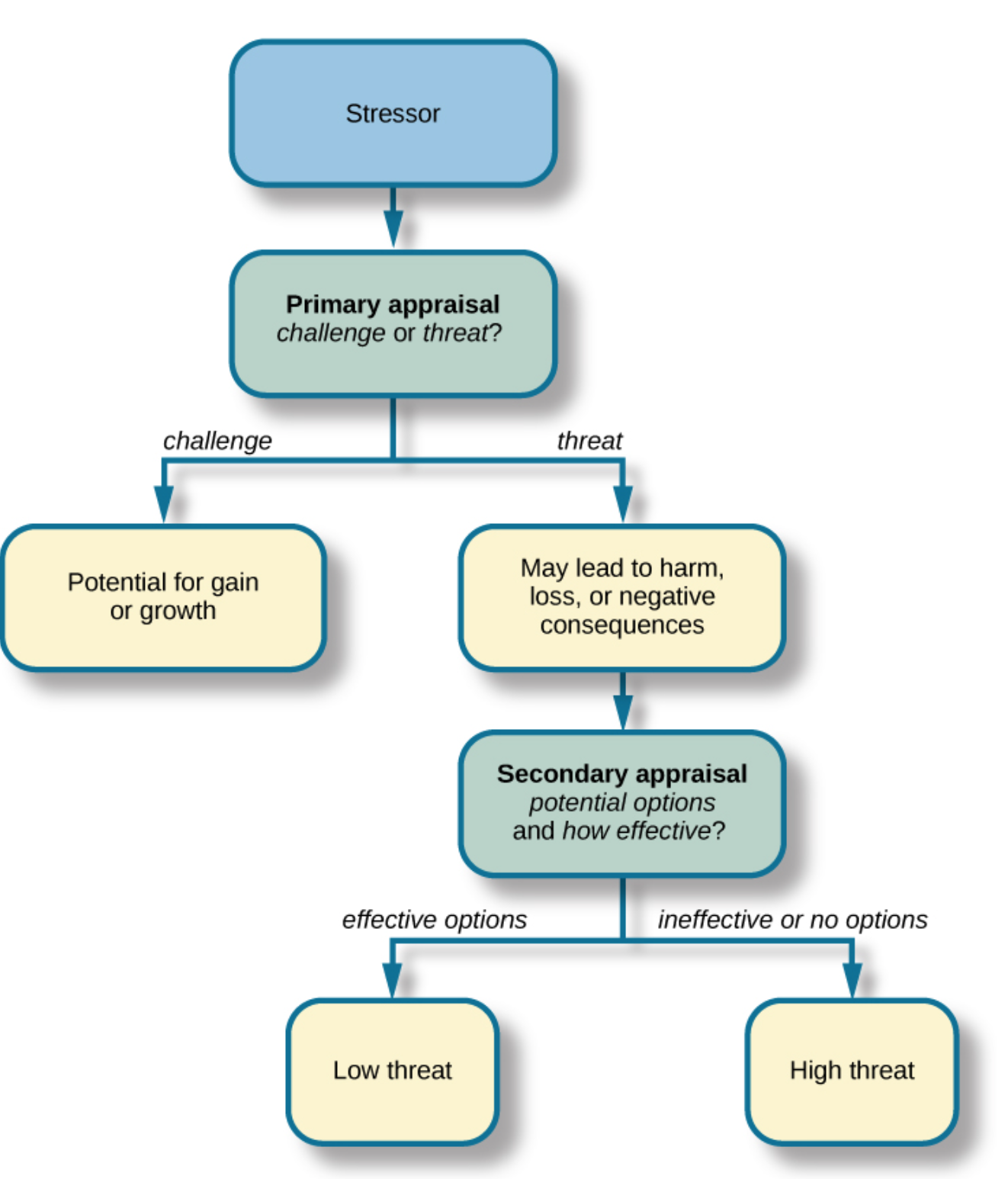 <p><strong>Primary appraisal: </strong>the initial, automatic evaluation of a situation to determine its significance and relevance to your well-being. You are essentially asking yourself: <em>"Is this event a threat, a challenge, or irrelevant?</em></p><p><strong>Secondary appraisal:</strong> occurs immediately after an event is evaluated as stressful. It is the assessment of your resources and options to manage or cope with the situation. You are asking yourself: <em>"What, if anything, can I do to overcome or prevent harm?</em></p>