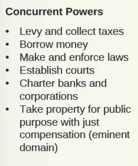 <p>powers shared by both federal and state governments</p>