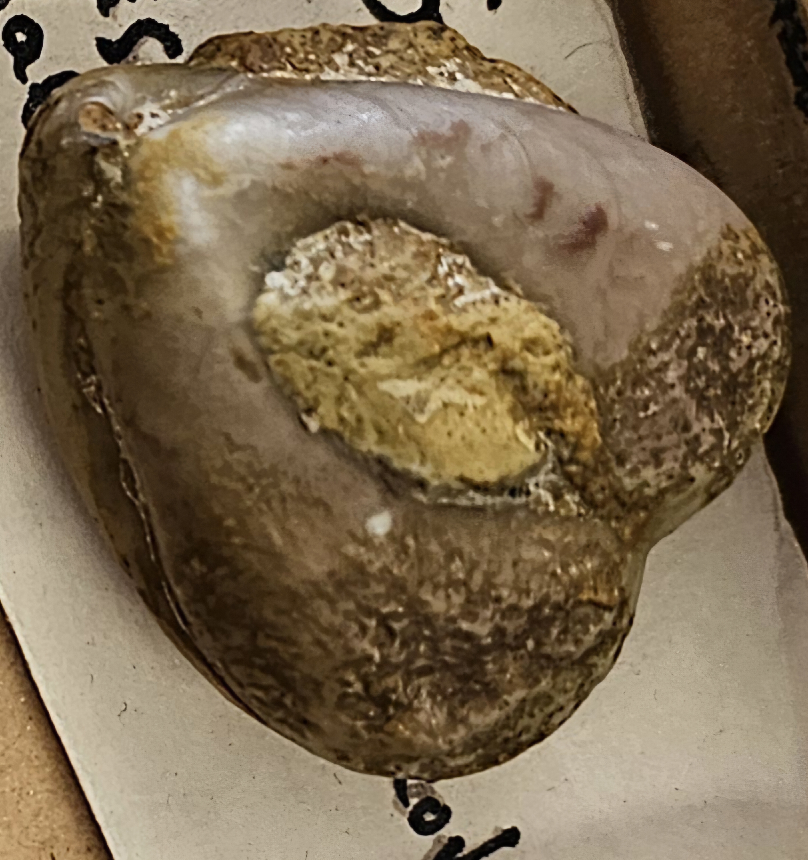 knowt flashcard image