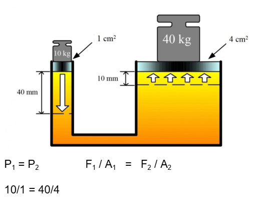 <p>The large piston will move half of the pressure put on the small piston.The small piston can push 4 times more weight if the larger piston has a surface area 4 times bigger. (Notice how the small cylinder had to travel 4 times farther)</p>
