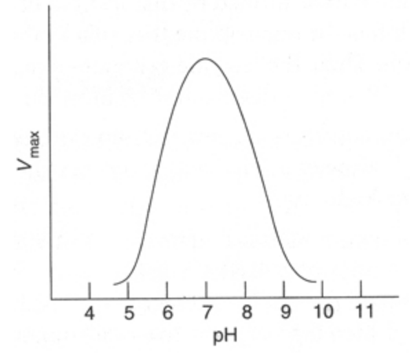 <p><span>A pH/enzyme activity curve is shown above. Which of the following pairs of amino acids would be likely candidates as catalytic groups?</span></p>