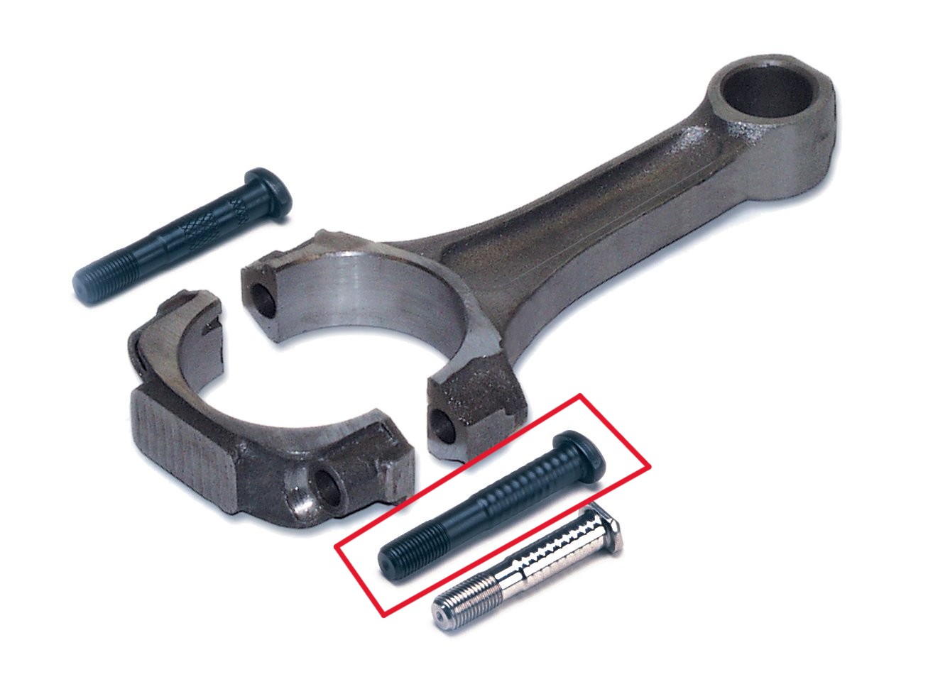 <p>(Extra)</p><p>What is this area called? What is the purpose?</p>