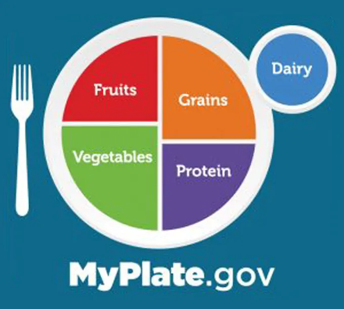 <ul><li><p>foods are categorized into five good groups (grains, vegetables, meats/beans, fruits, dairy)</p></li><li><p>individual caloric needs are determined based on age, gender, and activity level</p></li><li><p>each sugar exposure is circled in red (cariogenic potential)</p></li><li><p>most programs provide information on caloric intake as well as deficient or excess nutrient amounts </p></li><li><p><strong>once energy needs are established, dental hygienist can compare an individuals intake to the specified amount recommended by _ to assess the patients dietary adequacy </strong></p></li></ul><p></p>