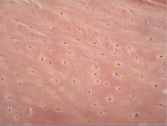 <p>What does this image show?</p>