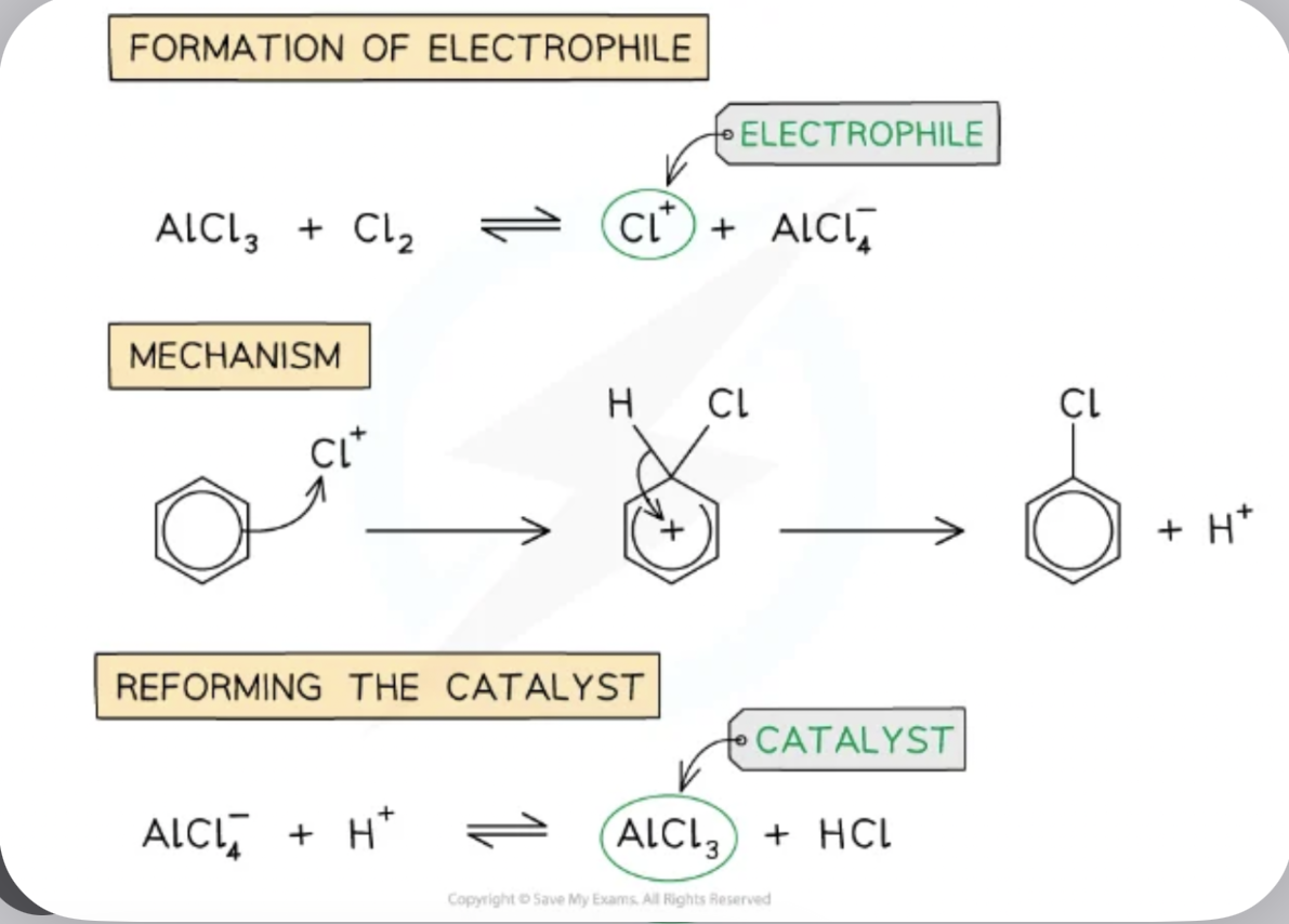 <p><span>The halogen molecule (e.g. Br₂) is non-polar and not reactive enough to attack the stable benzene ring. </span></p><p><span>The halogen carrier (e.g. FeBr₃) accepts a lone pair from one end of the Br₂ molecule: </span></p><p><span><strong>FeBr₃ + Br₂ → FeBr₄⁻ + Br⁺.</strong> </span></p><p><span>This polarises the Br–Br bond and effectively generates a Br⁺ species (the electrophile). After the substitution is complete, the FeBr₄⁻ releases HBr and regenerates the FeBr₃ catalyst, so only a small amount of catalyst is needed.</span></p>