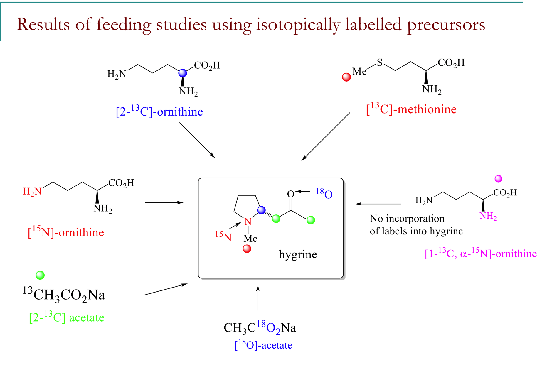 <p>Explain the results of the feeding study</p>