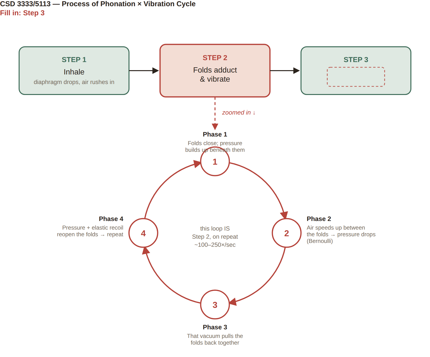 <p>step 3 in process of phonation</p>