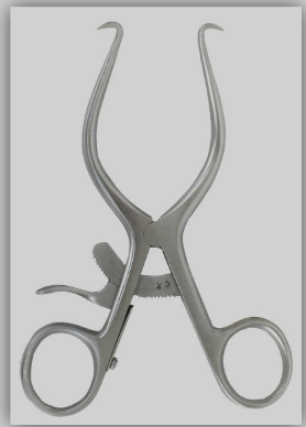 <p>Gelpi Retractors</p>