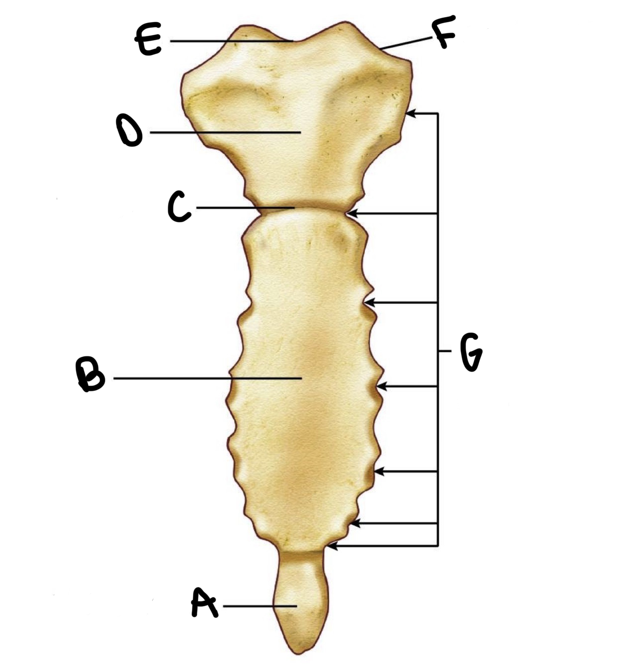 <p>d?</p>