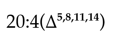 <p>Fatty Acid Naming Convention</p>