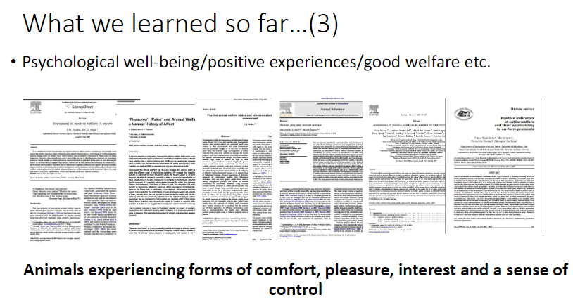 <p><strong>Psychological Well-Being</strong><br> Includes <strong>comfort</strong>, <strong>pleasure</strong>, <strong>interest</strong>, and a sense of <strong>control</strong><br> Reflects <strong>good welfare</strong> and <strong>positive experiences</strong></p>