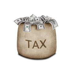 <p>Special taxes on goods coming into the United states.</p>