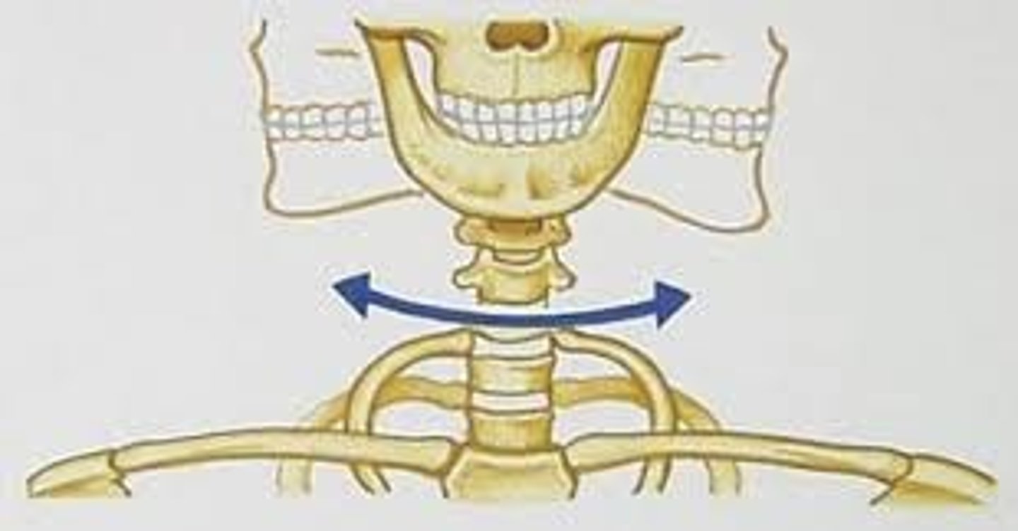 <p>rotating bone turns around an axis; i.e. connection between radius/ulna and humerus</p>