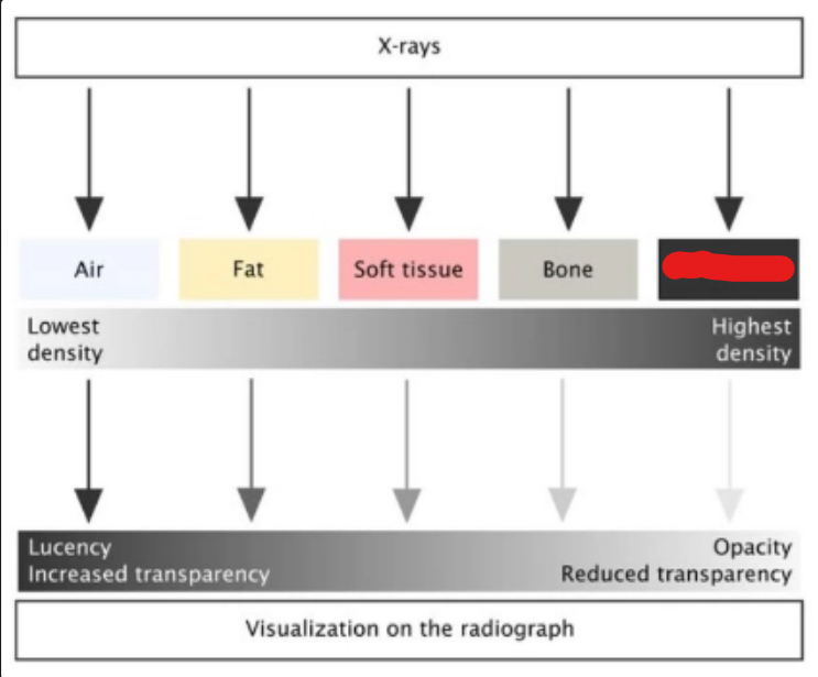 <p>what is it (Intro to Diagnostic Imaging)</p>