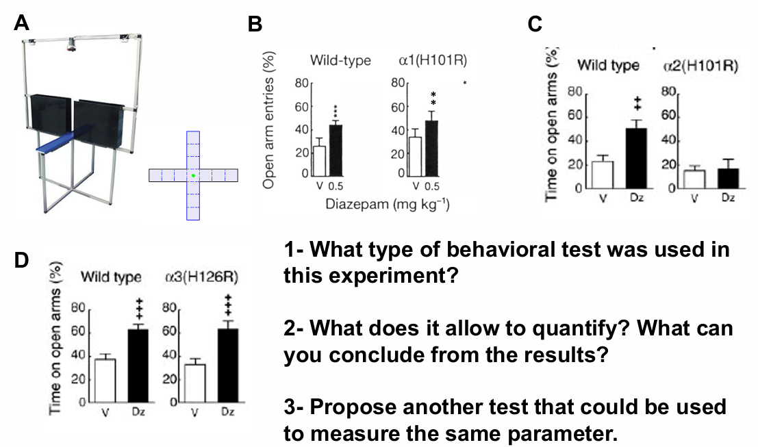 <p>Test of GABA-R subunits function</p>