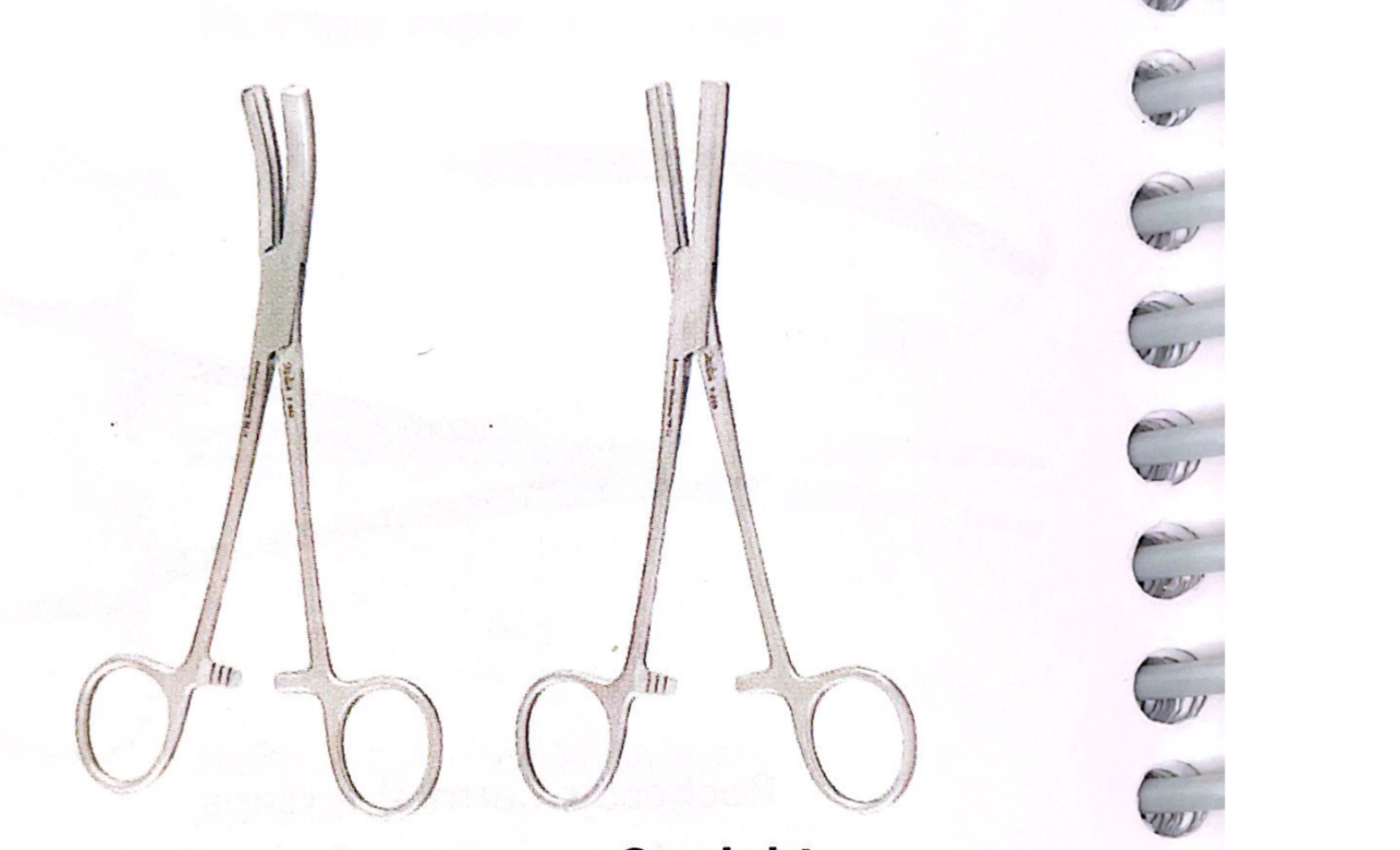 <p>Curved y straight</p>