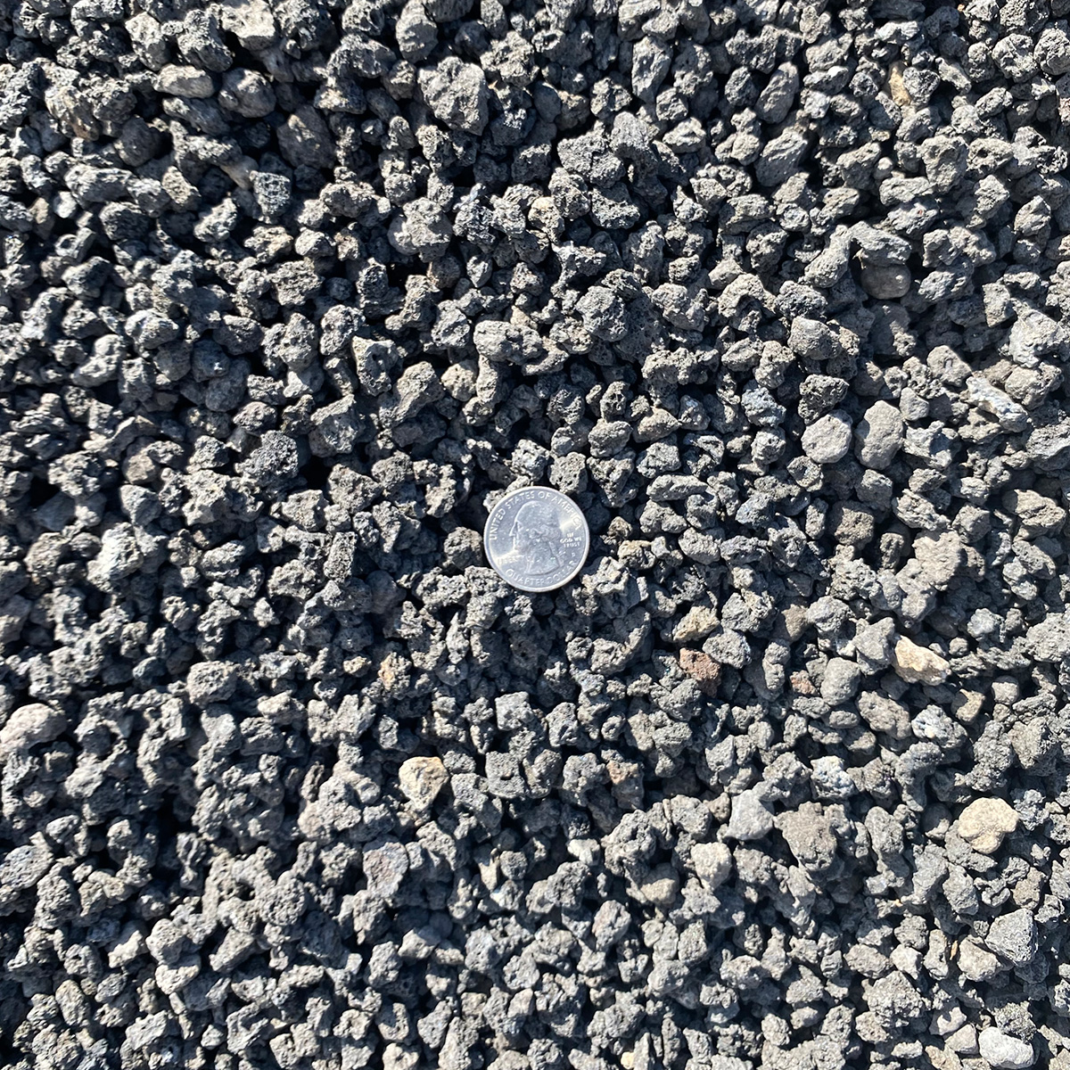 <p>pea-sized material </p>