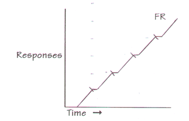 <p>Fixed Ratio (FR)</p>
